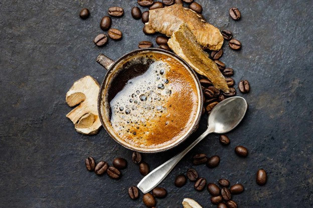 Ancient Wisdom, Modern Power -  The Timeless Benefits of Medicinal Mushrooms